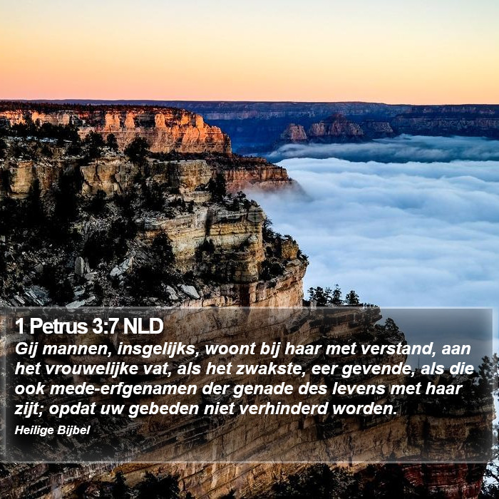 1 Petrus 3:7 NLD Bible Study