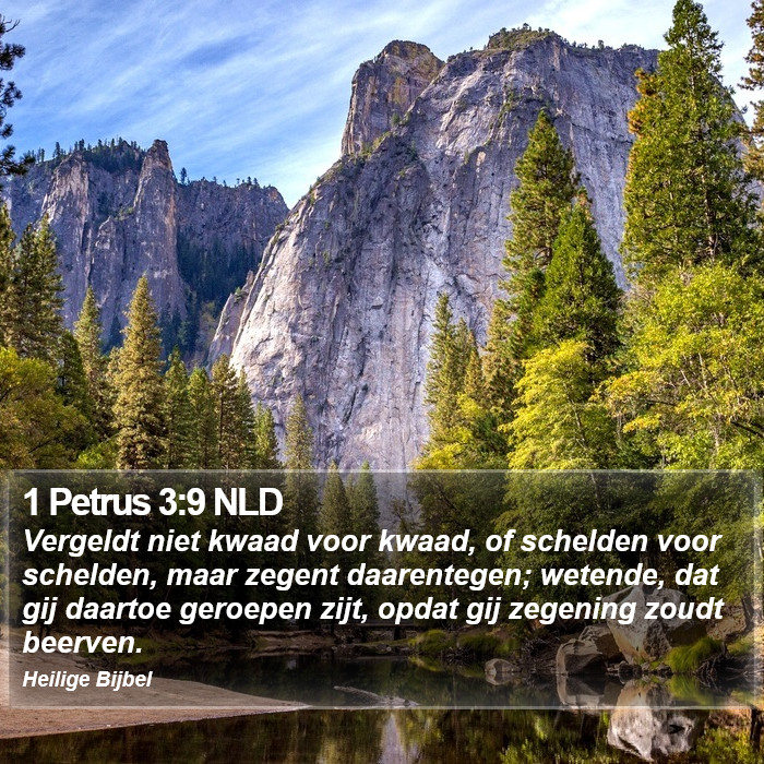 1 Petrus 3:9 NLD Bible Study