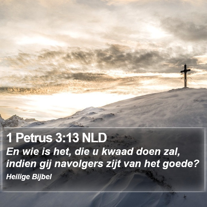 1 Petrus 3:13 NLD Bible Study
