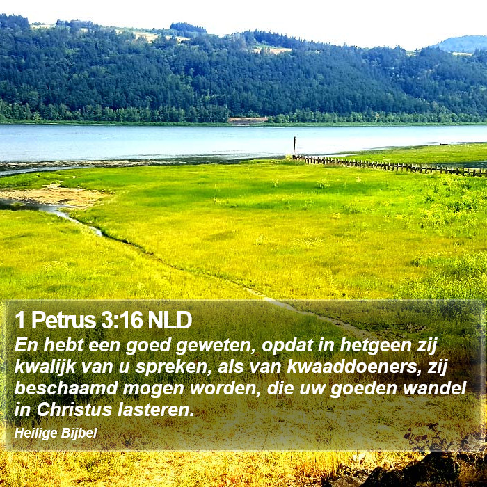 1 Petrus 3:16 NLD Bible Study