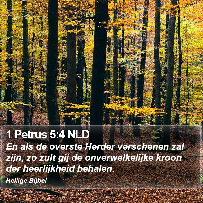 1 Petrus 5:4 NLD Bible Study