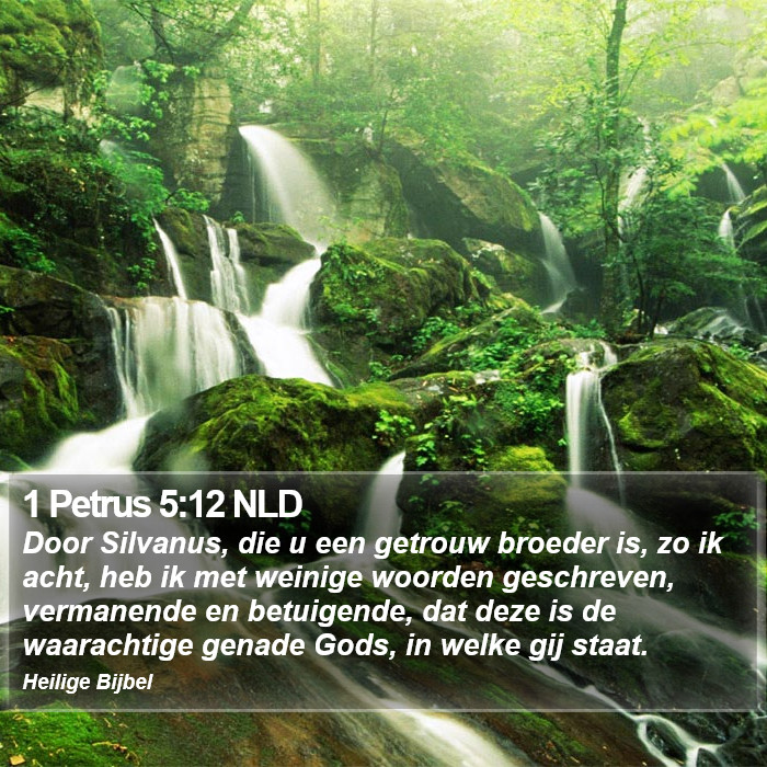 1 Petrus 5:12 NLD Bible Study