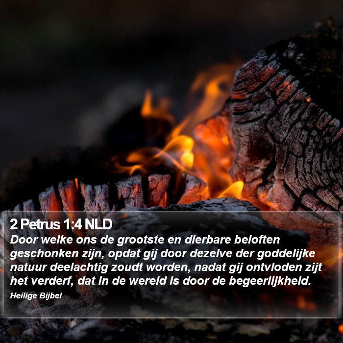 2 Petrus 1:4 NLD Bible Study