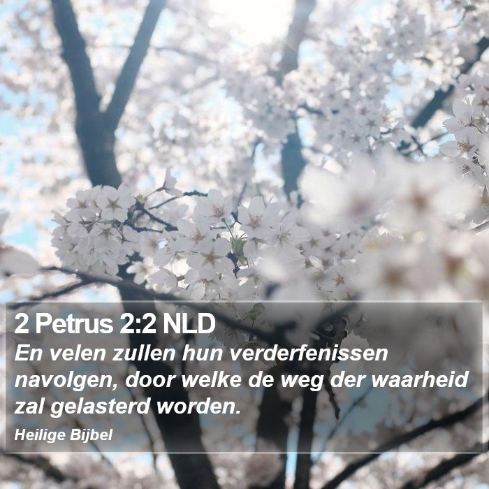 2 Petrus 2:2 NLD Bible Study
