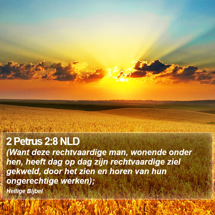 2 Petrus 2:8 NLD Bible Study