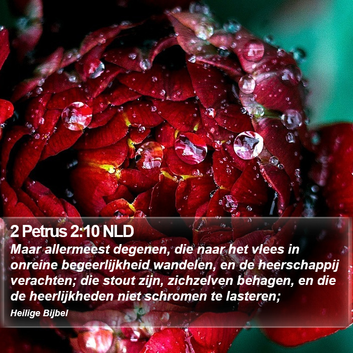 2 Petrus 2:10 NLD Bible Study