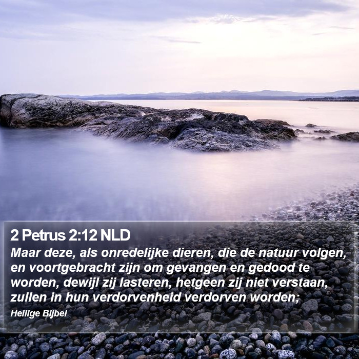 2 Petrus 2:12 NLD Bible Study
