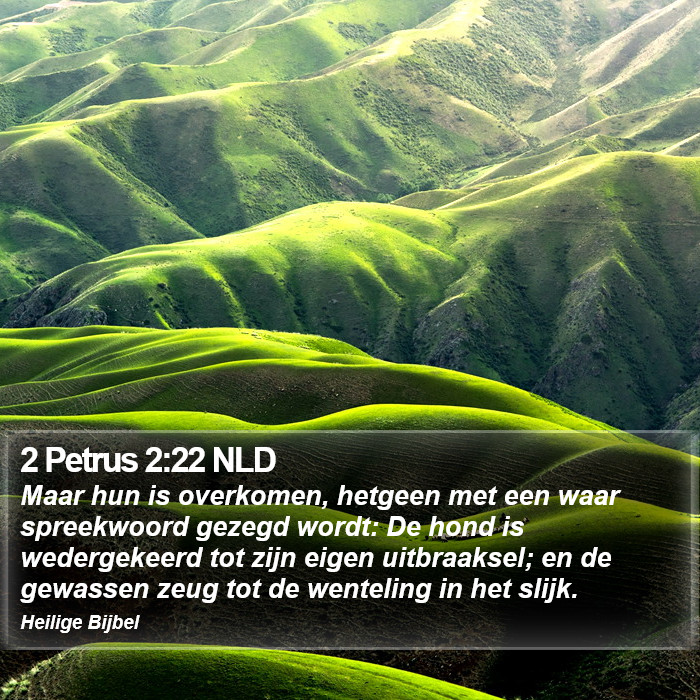 2 Petrus 2:22 NLD Bible Study