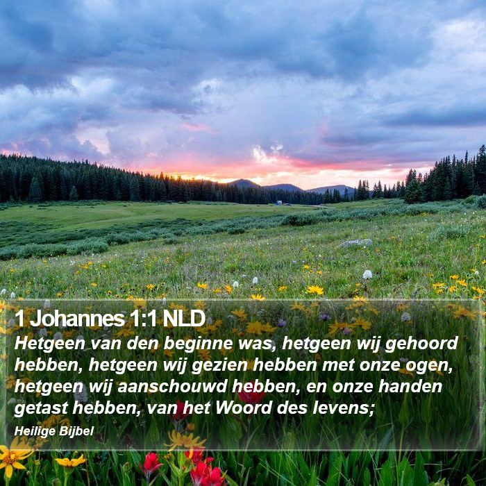 1 Johannes 1:1 NLD Bible Study