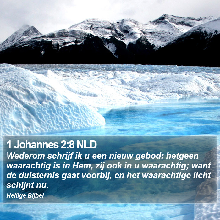 1 Johannes 2:8 NLD Bible Study