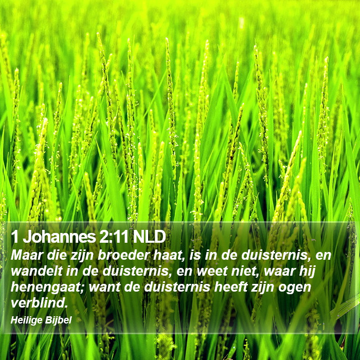 1 Johannes 2:11 NLD Bible Study