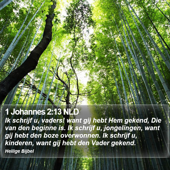 1 Johannes 2:13 NLD Bible Study