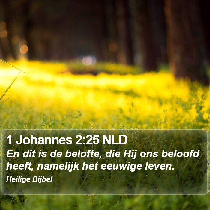 1 Johannes 2:25 NLD Bible Study