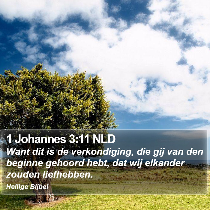 1 Johannes 3:11 NLD Bible Study