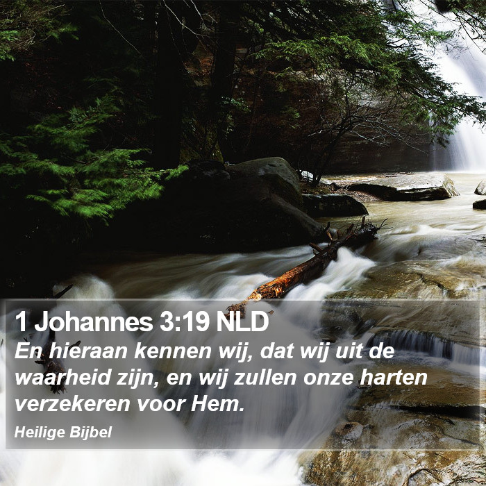 1 Johannes 3:19 NLD Bible Study