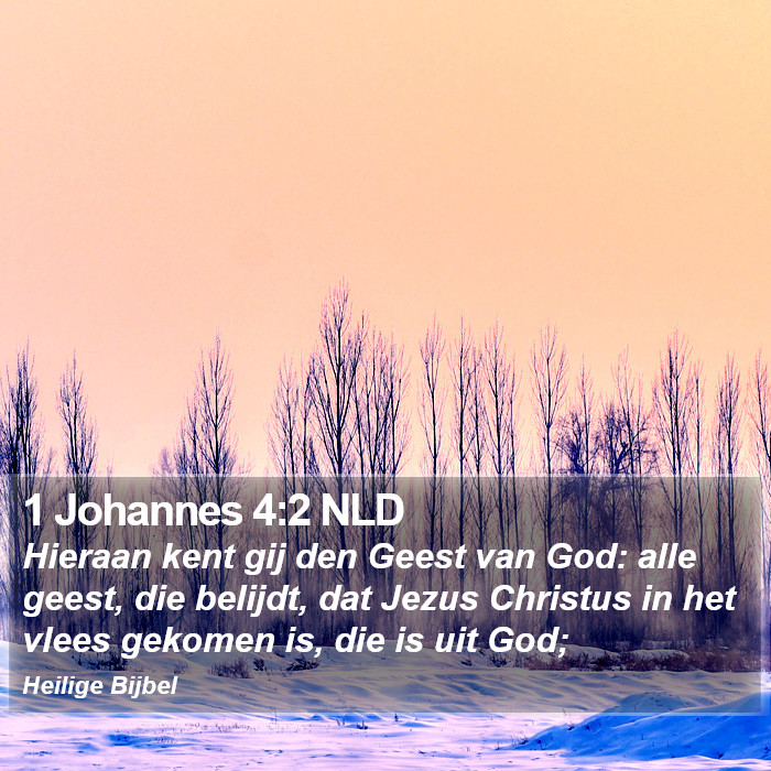 1 Johannes 4:2 NLD Bible Study