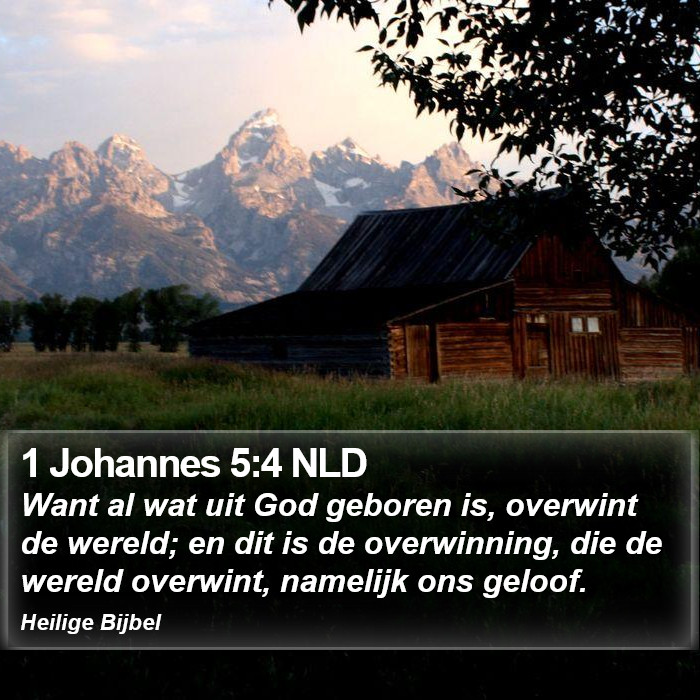 1 Johannes 5:4 NLD Bible Study