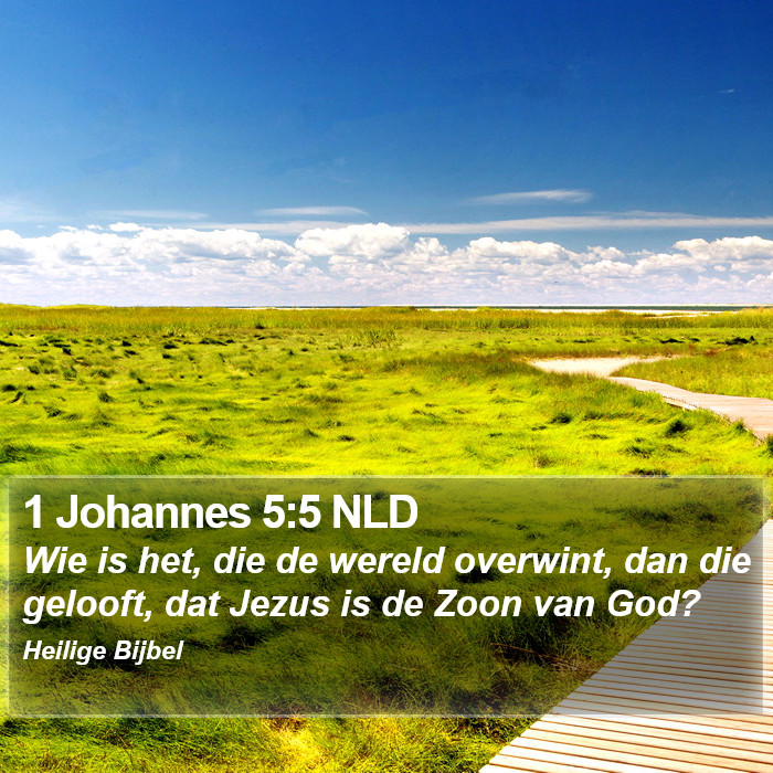 1 Johannes 5:5 NLD Bible Study