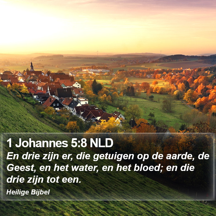 1 Johannes 5:8 NLD Bible Study