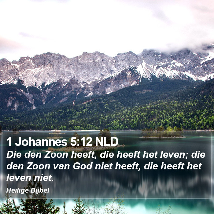 1 Johannes 5:12 NLD Bible Study