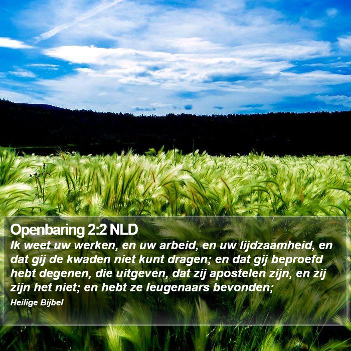 Openbaring 2:2 NLD Bible Study