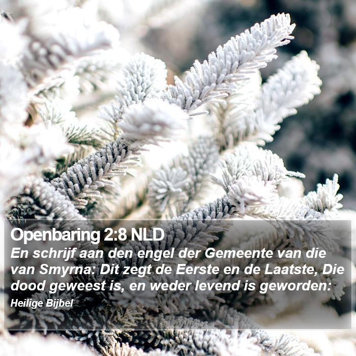 Openbaring 2:8 NLD Bible Study