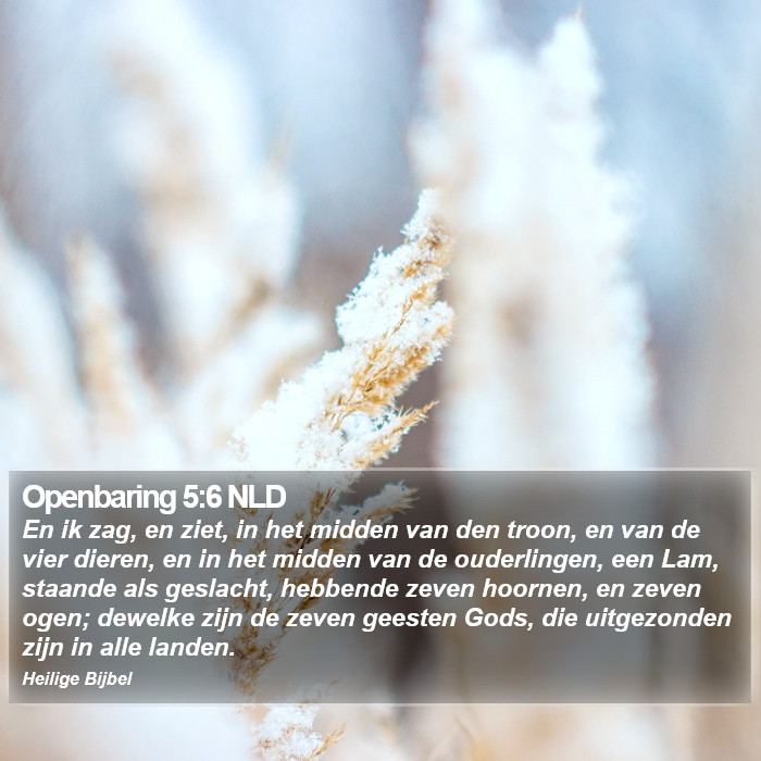 Openbaring 5:6 NLD Bible Study