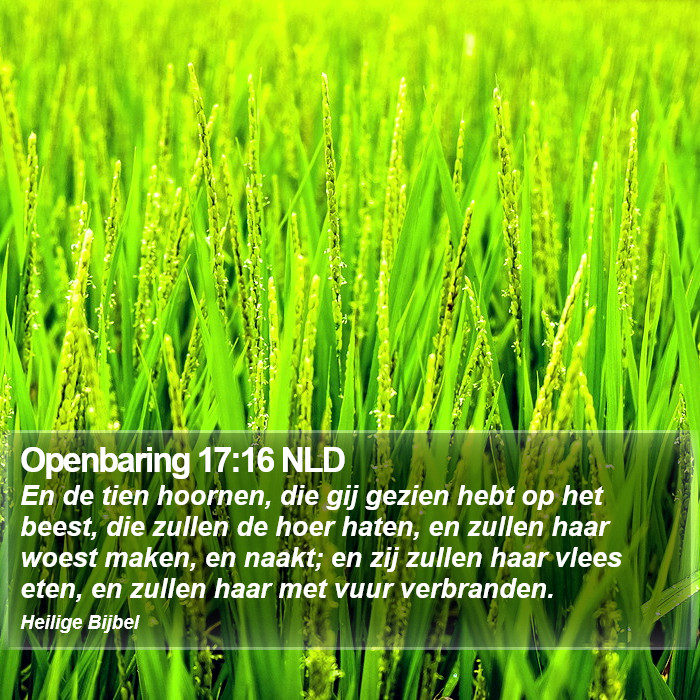 Openbaring 17:16 NLD Bible Study