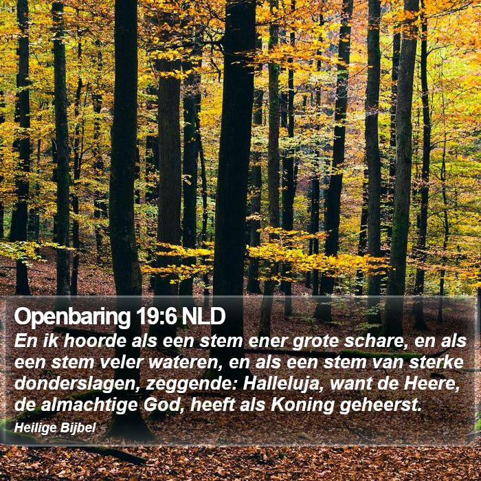 Openbaring 19:6 NLD Bible Study