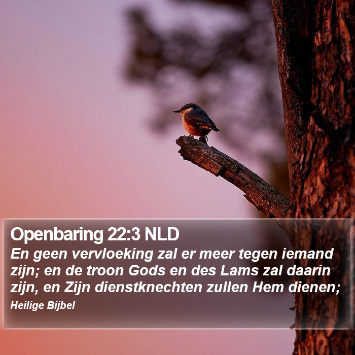 Openbaring 22:3 NLD Bible Study