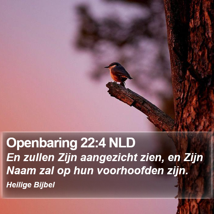 Openbaring 22:4 NLD Bible Study